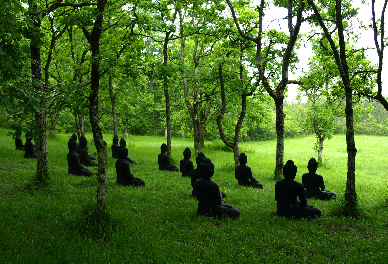 Plum Village - a perfect Mindful Retreat for families