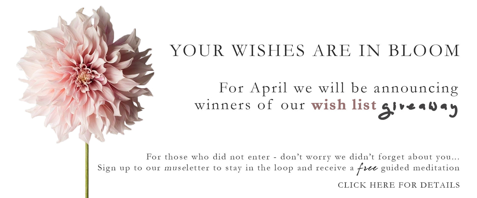 Your Wishes are in Bloom