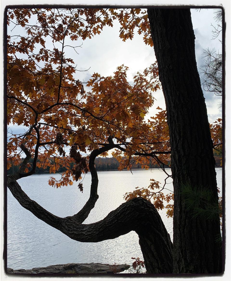 who has your back? | the next retreat