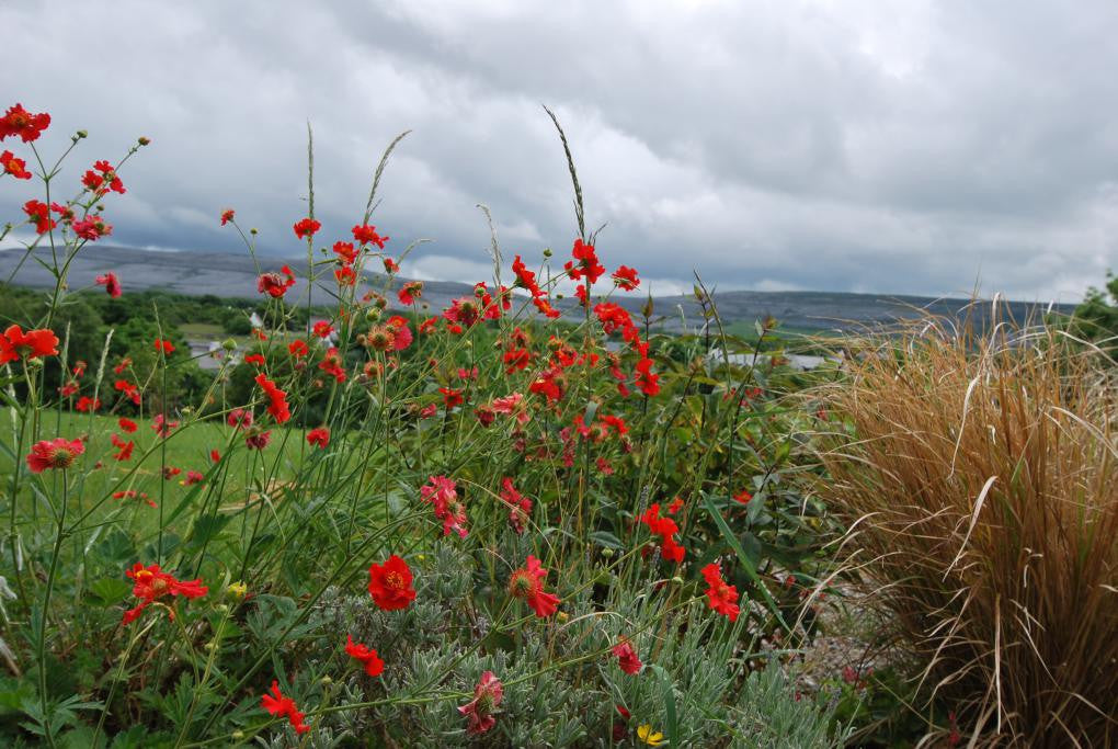 Irish Retreat - seeking sacred