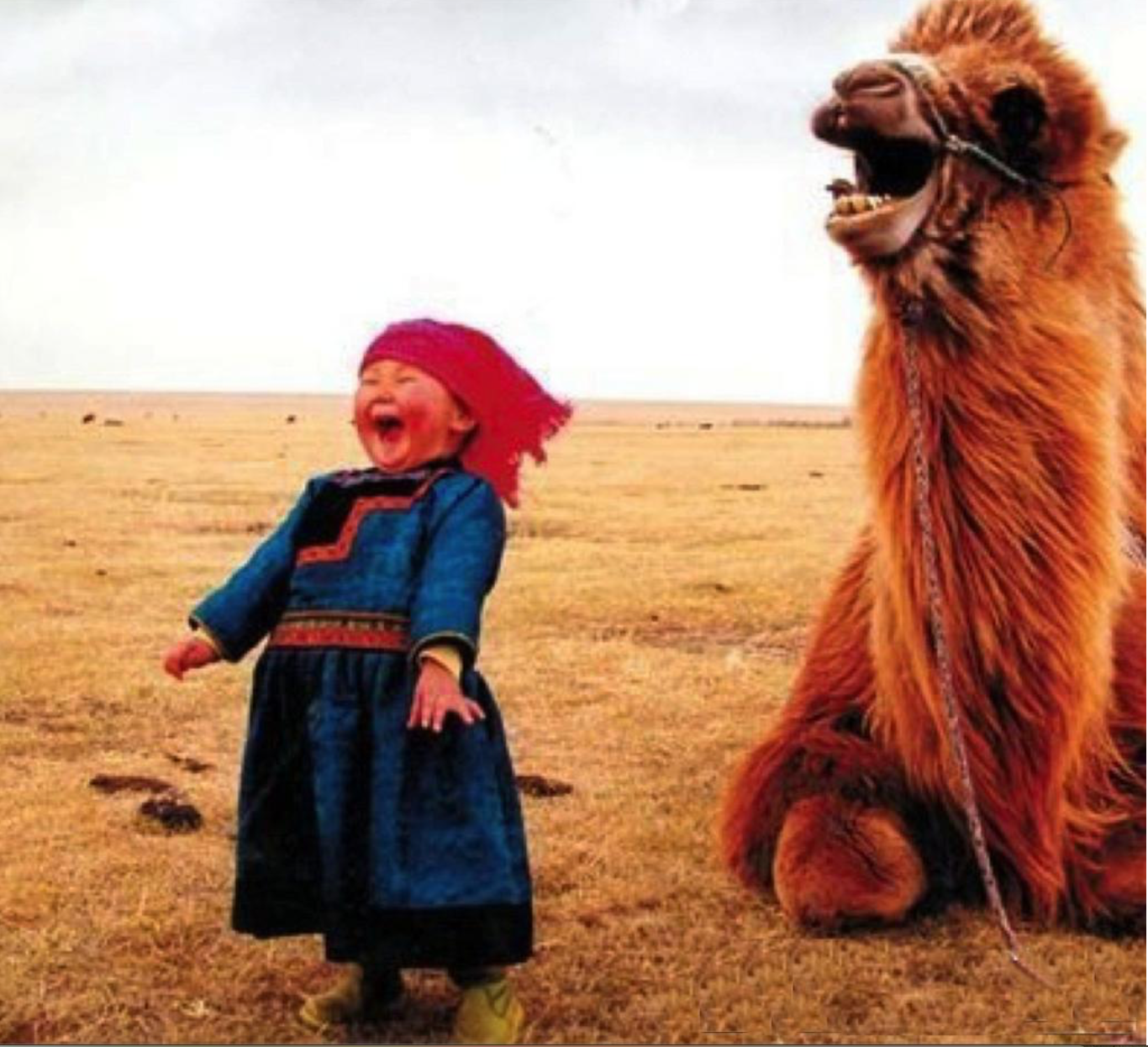 The Role of Laughter Therapy