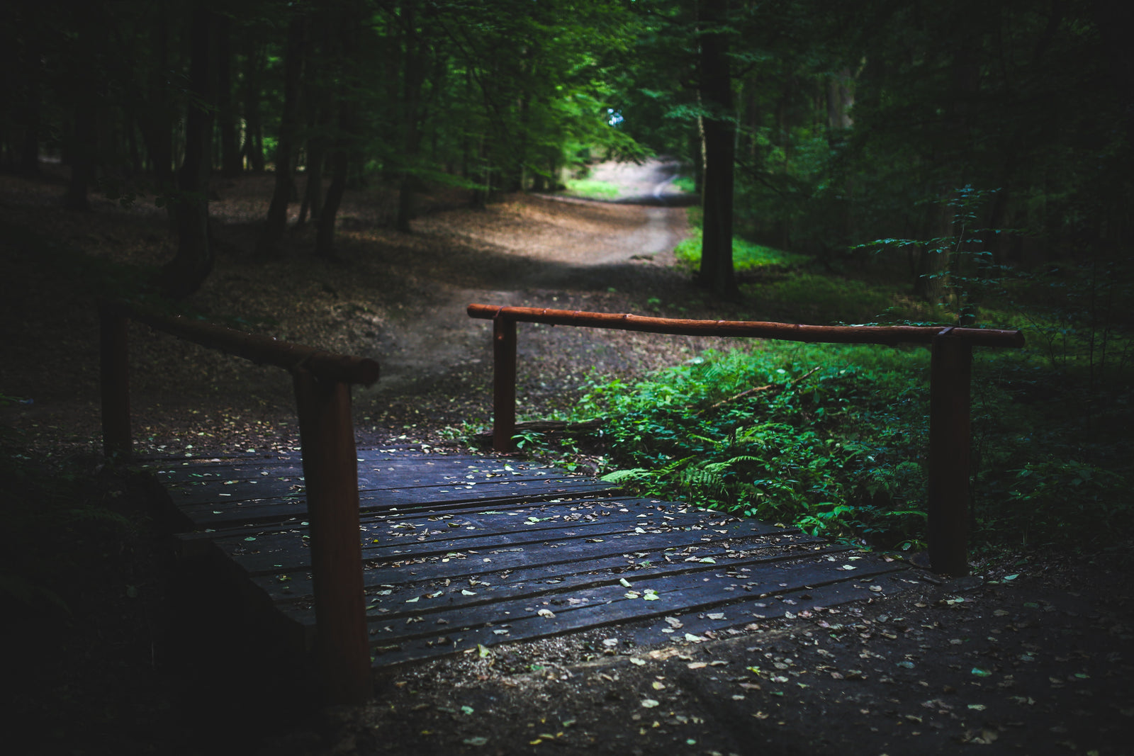 Retreating into Summer | The Scenic Route