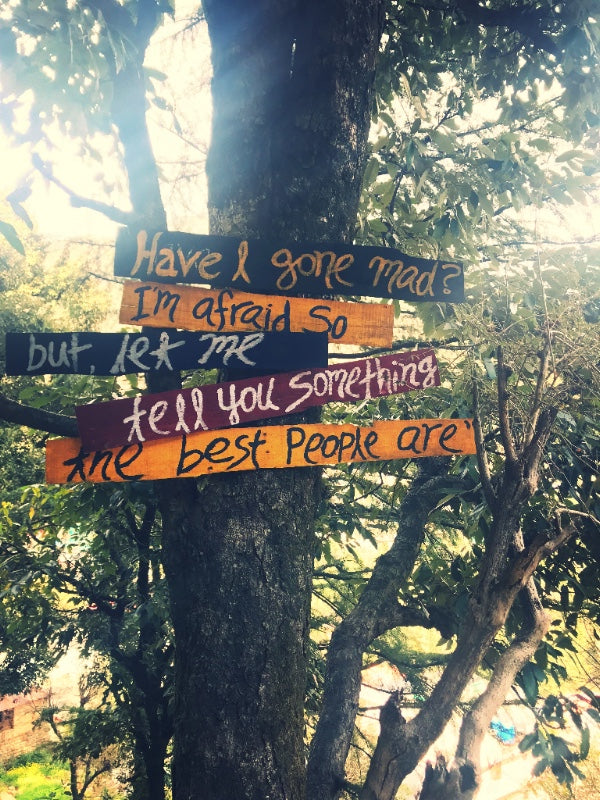 We can never get to where we want to go with fear as our companion