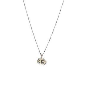 MINI SILVER On CHAIN
